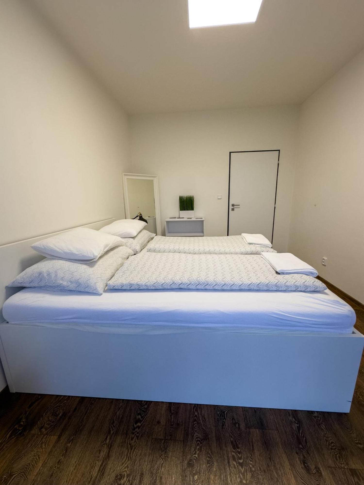 Haas Apartments Downtown With Parking Brno Luaran gambar