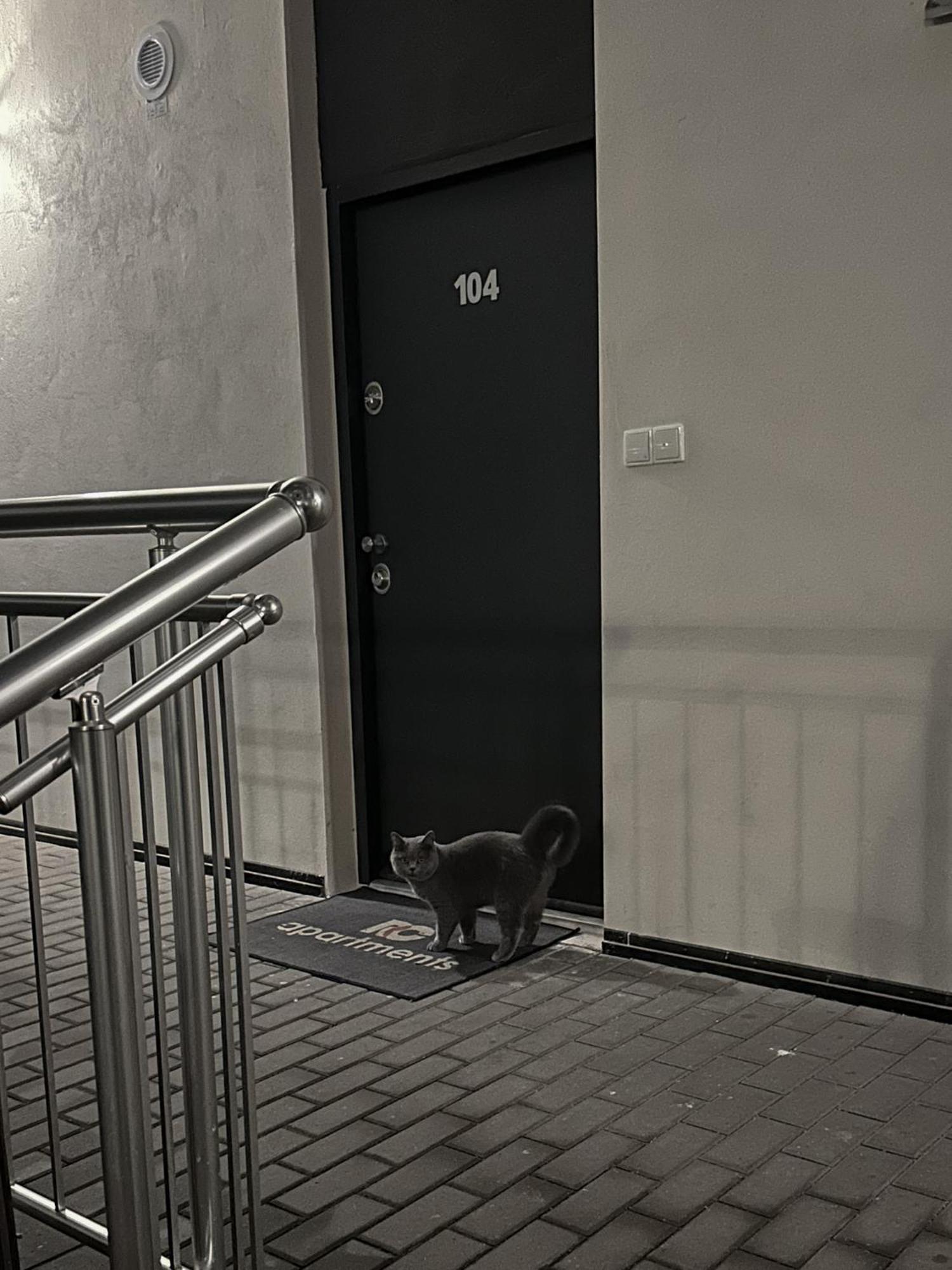 Haas Apartments Downtown With Parking Brno Luaran gambar