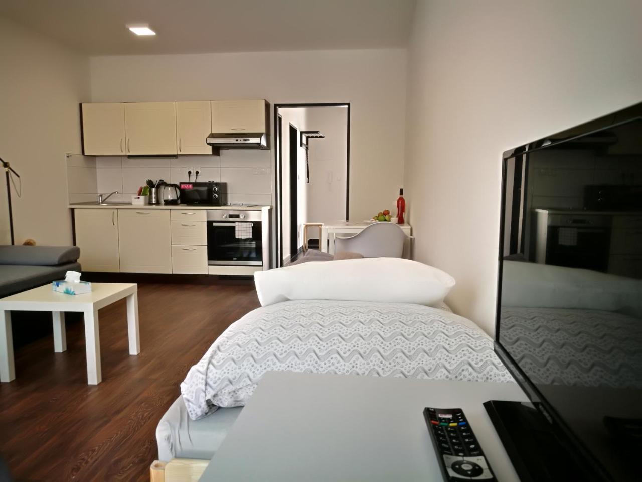 Haas Apartments Downtown With Parking Brno Luaran gambar