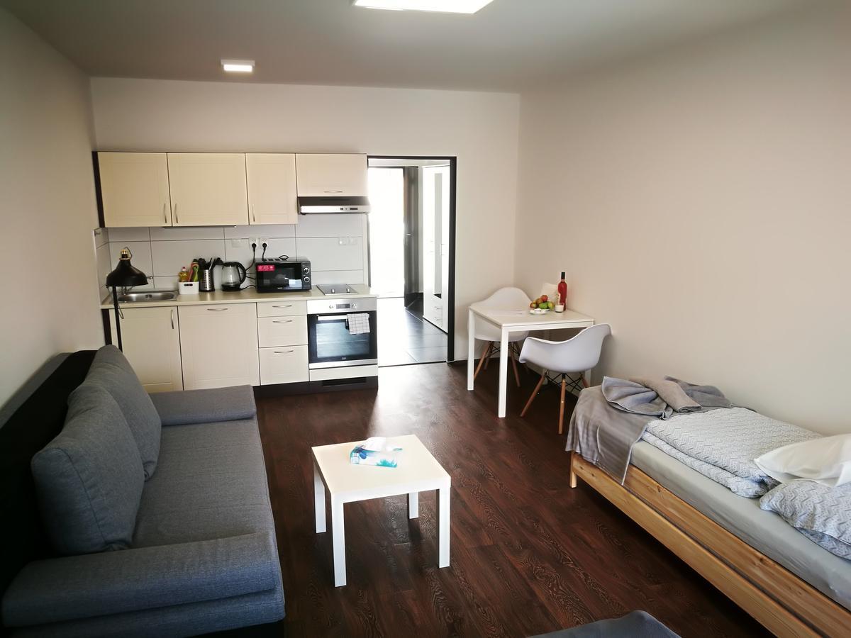 Haas Apartments Downtown With Parking Brno Luaran gambar
